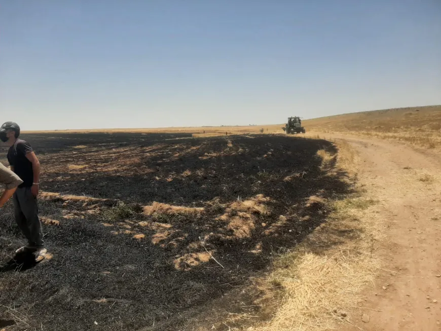 Arden 60 dunams de trigo durante la cosecha en Dirbesiyê