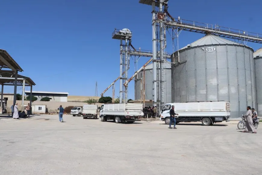 Los agricultores de Al-Hasakah se quejan de retrasos en las entregas de trigo; pérdidas crecientes debido a la espera