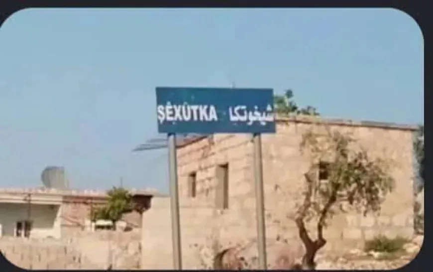 Desconocidos atacan a dos pastores y roban ganado en la campiña de Afrin