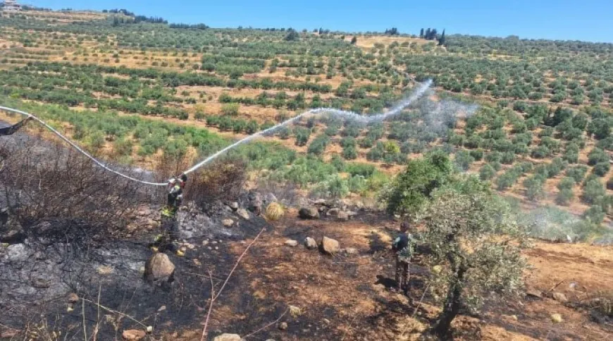 149 incendios reportados en Siria en un día