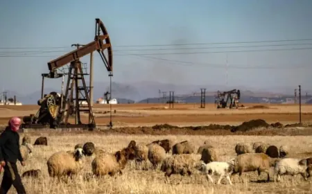 La delegación de Syrian Petroleum Company y HKN Energy llega a Qamishlo