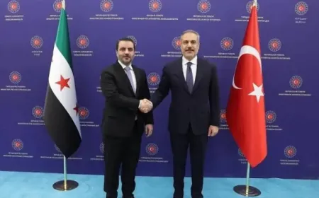 Al-Shaibani y Fidan abordan la cooperación económica y la seguridad regional