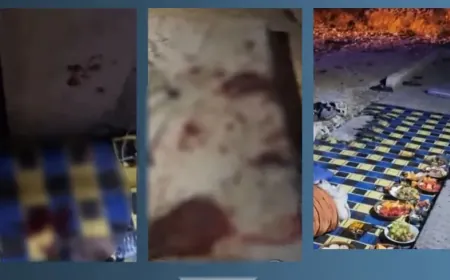 Seis personas resultan heridas tras el lanzamiento de una granada contra una vivienda en la zona rural de Homs