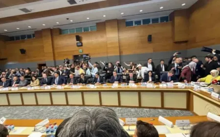 La Comisión de Justicia debate el proyecto de ley marco