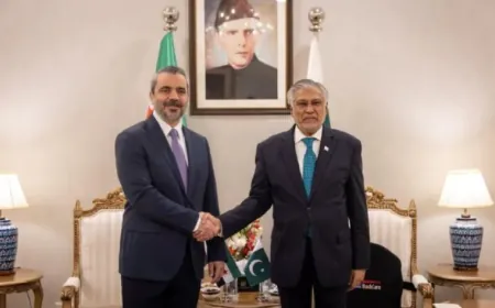 El Şeybanî se reúne con el ministro de Exteriores de Pakistán