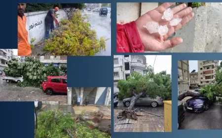 Lluvias y fuertes vientos causan daños materiales en Latakia