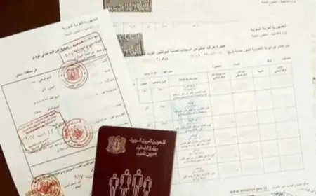 El Departamento de Estado Civil de Siria niega la fecha de fijación para la emisión de nuevas tarjetas de identidad