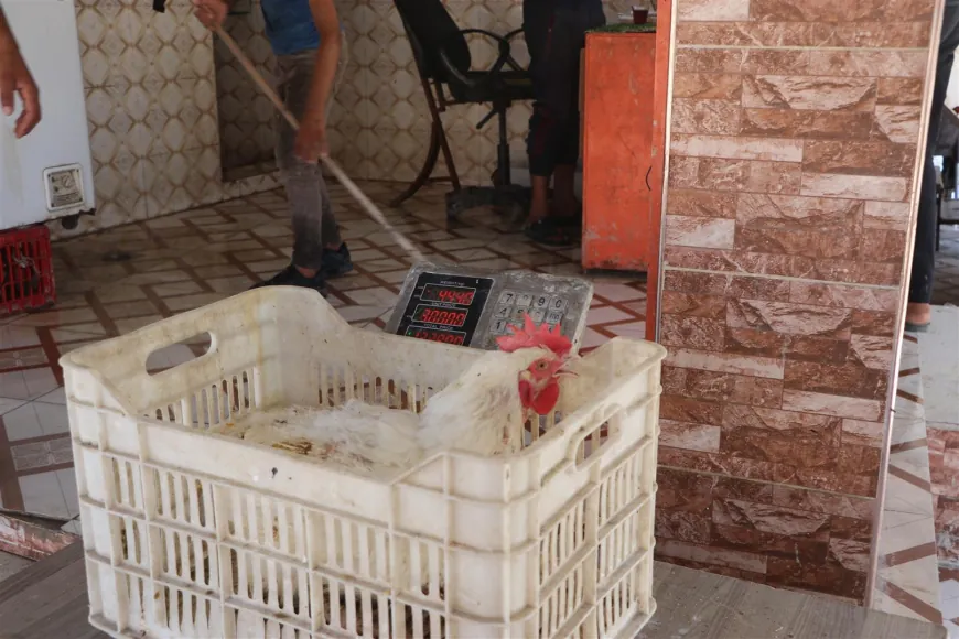 El elevado precio del pollo afecta a los consumidores en Hasaka