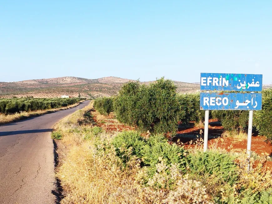 Imágenes de los paisajes naturales y olivares de Afrin
