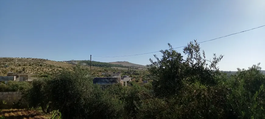 Autoridades de Afrin exigen a propietarios de tierras entregar el 35 % de sus cosechas como impuesto