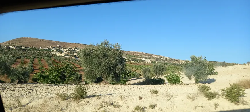 Autoridades de Afrin exigen a propietarios de tierras entregar el 35 % de sus cosechas como impuesto