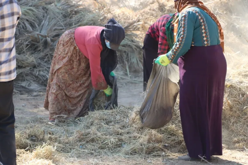 Kobani lanza 2 proyectos locales de fertilizantes orgánicos para apoyar la agricultura