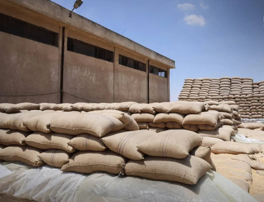 Los retrasos en el pago del trigo en Siria plantean preguntas sobre los mecanismos de desembolso