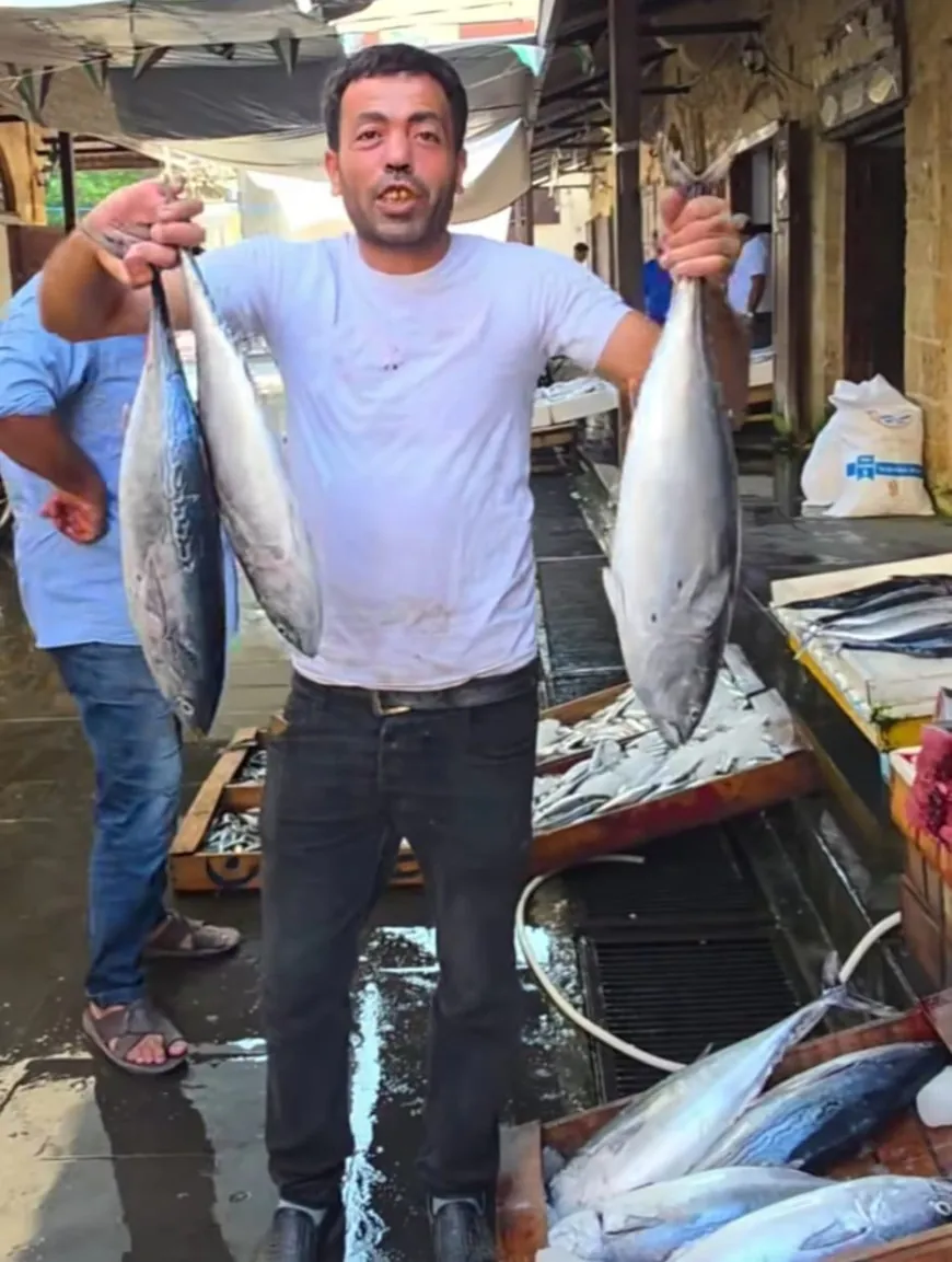 Más de 30.000 toneladas de pescado producido en Siria, entonces, ¿por qué falta en los mercados?