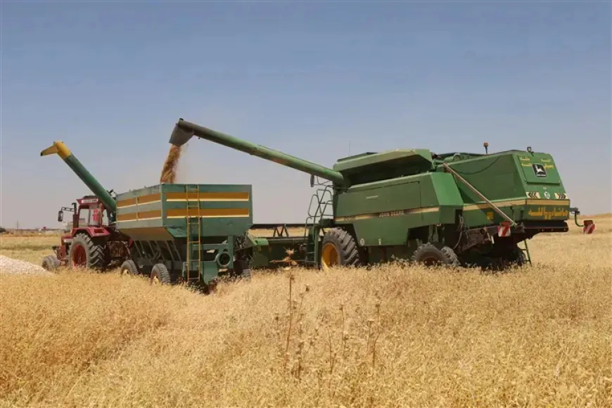 Agricultores: los pagos a plazos no cubren nuestras deudas, salarios laborales y costos agrícolas