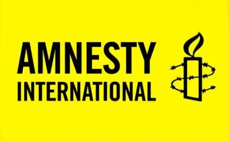 Amnistía Internacional pide que se juzgue a 87 responsables iraníes