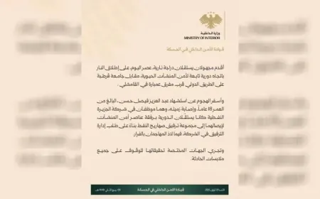 Miembro de las Fuerzas de Seguridad Interna martirizado en el campo de Qamishlo