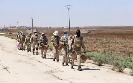 La segunda fase de las operaciones de limpieza de minas comienza en Serêkaniyê y su campo