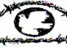 Los comités de libertad piden educación sobre lengua materna en Siria