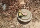 Un agricultor resulta herido en una explosión de minas terrestres en el campo de Sweida
