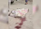Asesinan a un joven en el barrio de Meridian, en Hasaka