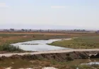 Los ríos Jabur y Zirgan vuelven a fluir