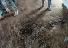 Dos niños muertos por la explosión de restos de guerra en la zona rural de Daraa