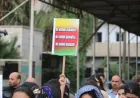 "Nuestro derecho al idioma kurdo debe estar garantizado en la constitución"