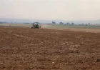 La falta de apoyo y el aumento de los costos obligan a los agricultores de Jazira a reducir el cultivo