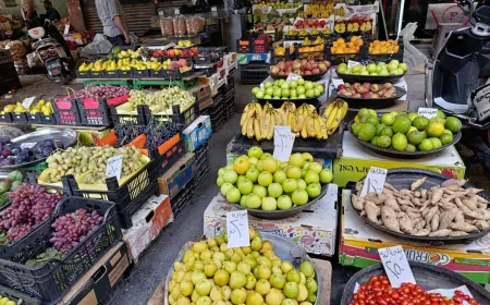 El aumento de los precios ejerce más presión sobre los hogares sirios
