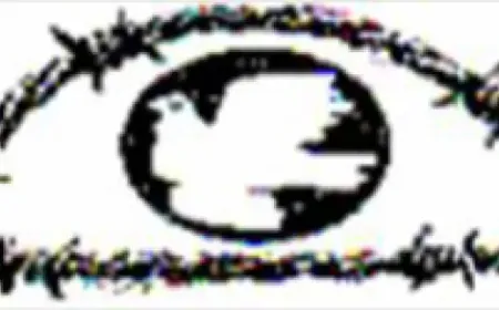 Los comités de libertad piden educación sobre lengua materna en Siria