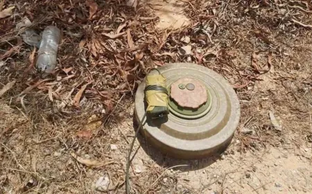 Un agricultor resulta herido en una explosión de minas terrestres en el campo de Sweida