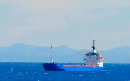Siria pide una investigación internacional independiente sobre el hundimiento del buque "Alfa Vatón" en el mar Negro