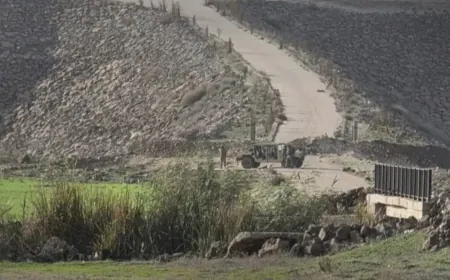 Incursión de las fuerzas israelíes en el pueblo de Taranja en el campo de Quneitra