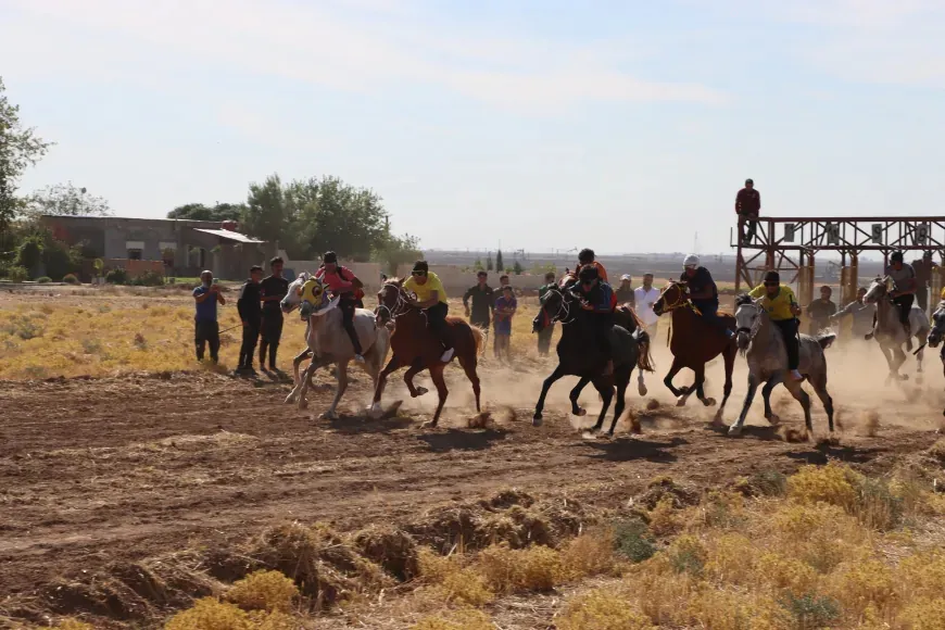 Girkê Legê acoge una competición de carreras de caballos