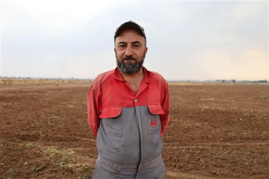 La falta de apoyo y el aumento de los costos obligan a los agricultores de Jazira a reducir el cultivo