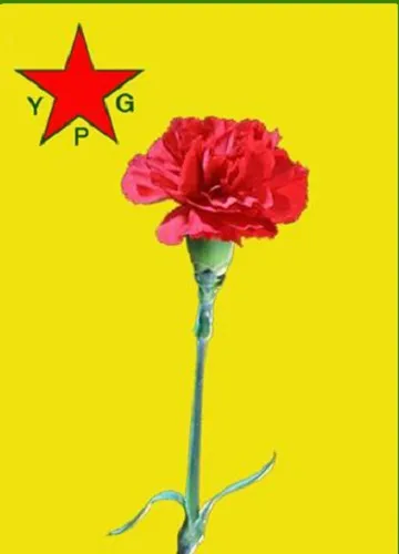 YPG`ê nasnameya  6 lehengên Berxwedana Serdemê eşkere kir