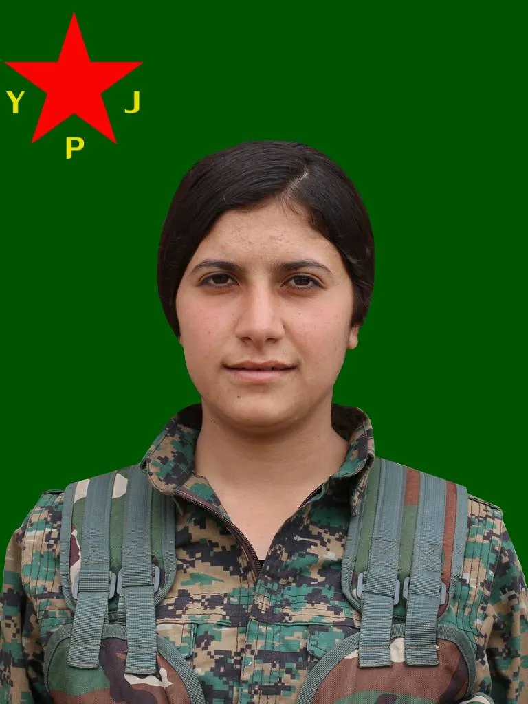 Nasnameya 6 şehîdên Berxwedana Serdemê hatin eşkerekirin