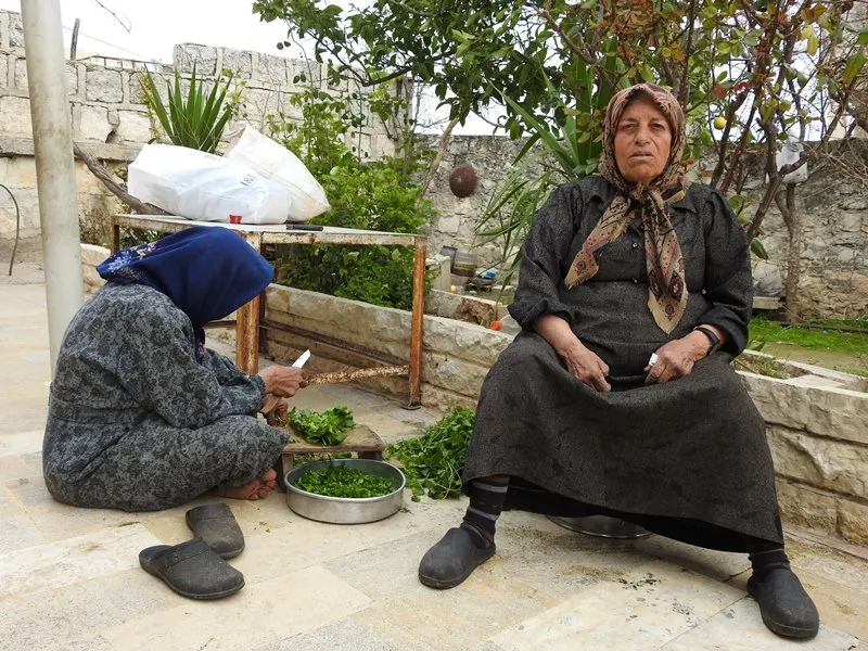 Dayîkên Efrînê bi rêbazên  xwe li dijî dagirkeriyê derdikevin