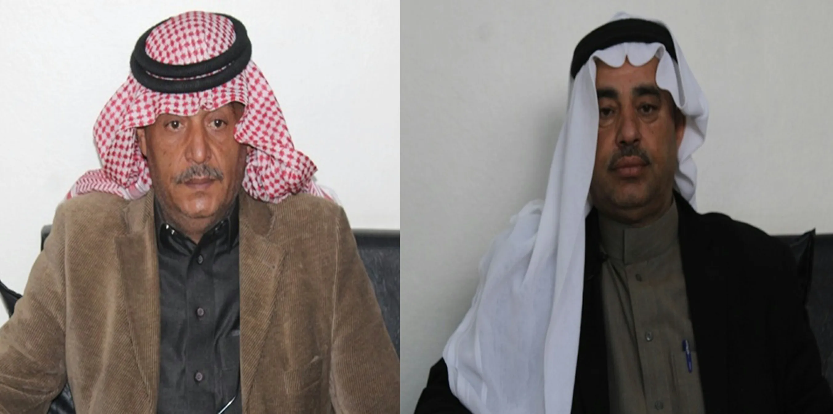 Êlên Ereb: Em meclîsa çeteyan tu carî qebûl nakin