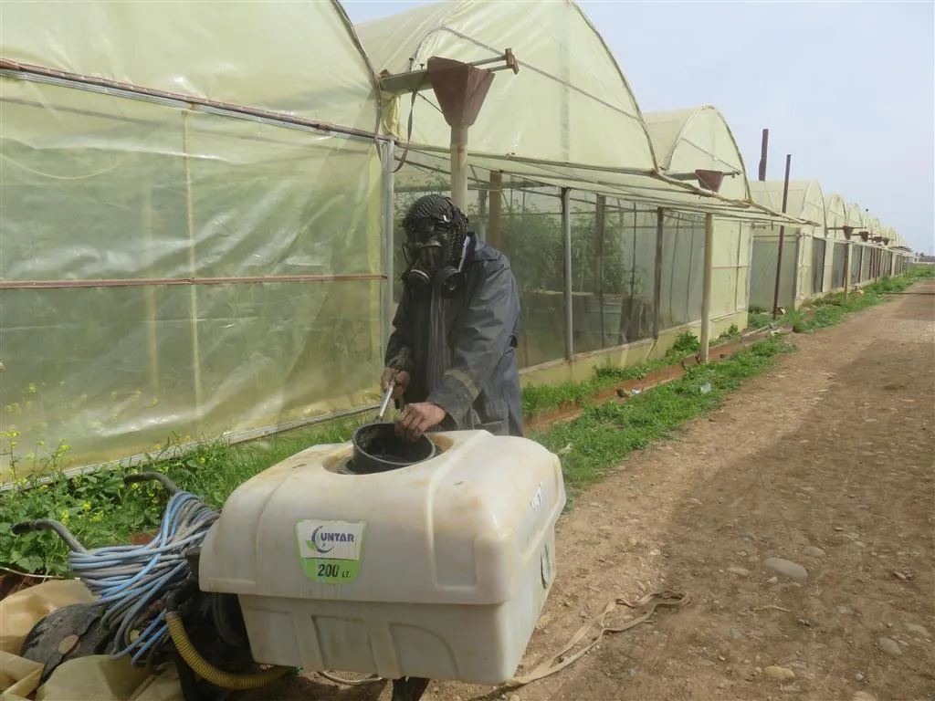 Proje bexçeyên sergirtî di sala xwe ya 5'an de berhemên xwe zêde dike