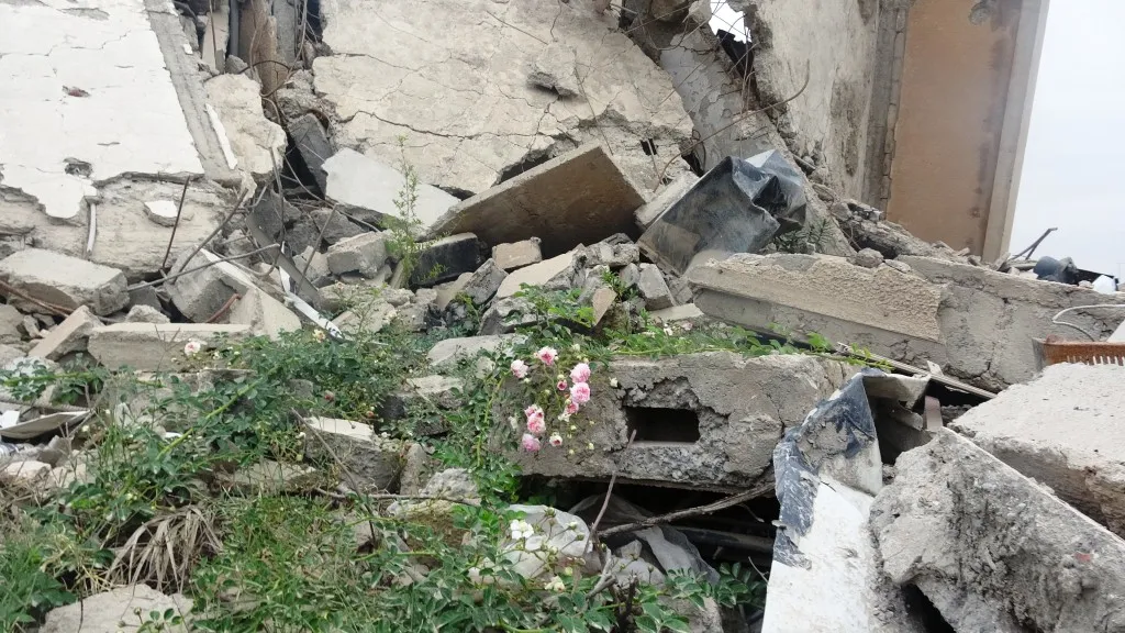 Piştî payîzeke bablîsok buhareke geş