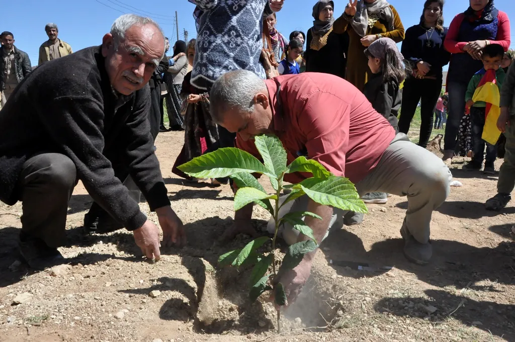 Bi wesîleya rojbûna Ocalan dar hatin çandin
