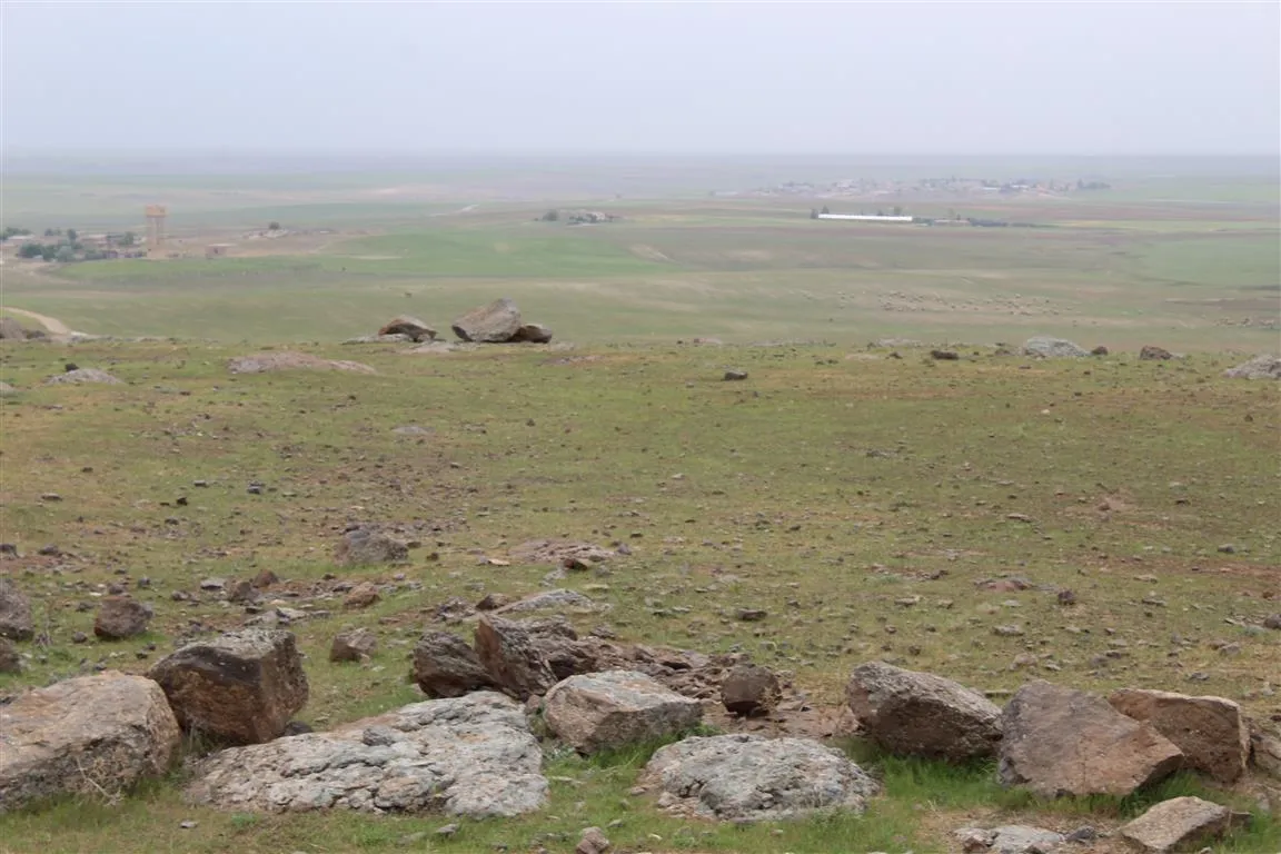 Beşek ji çandiniya bejî telf dibe û cotkar bang dike