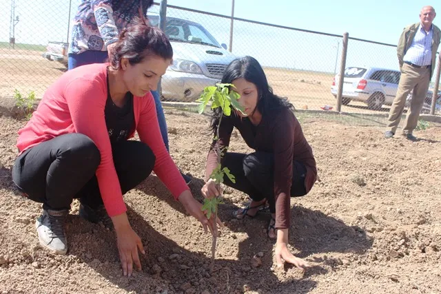 Şêniyên bajarê Qamişlo li gundê Hîmo şahî lidar xistin.