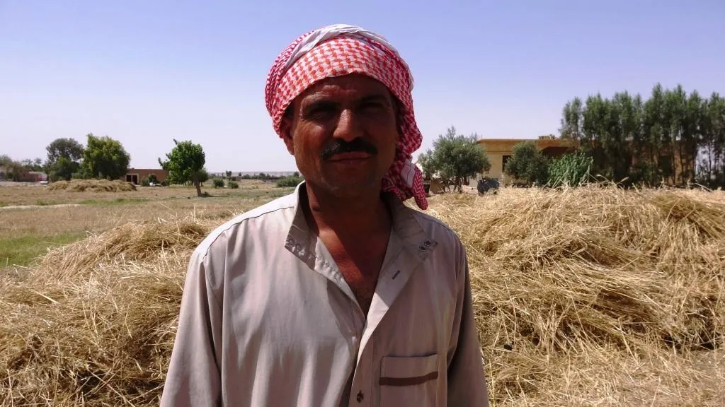 Kêmbûna baranê û lehiyên dema dawî, zirar gihand zeviyan