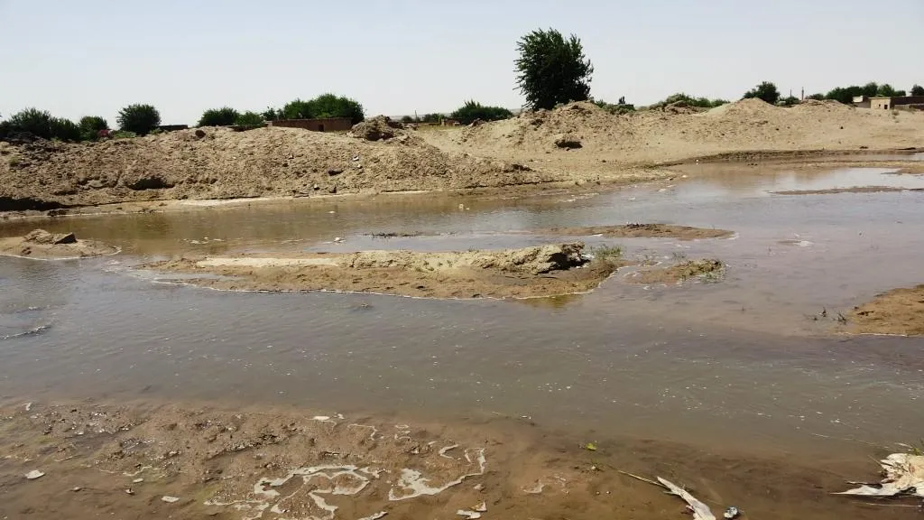Hilberîna çandiniyê ya Dêrazorê ji ber bahoza qûmê ziyan dîtiye