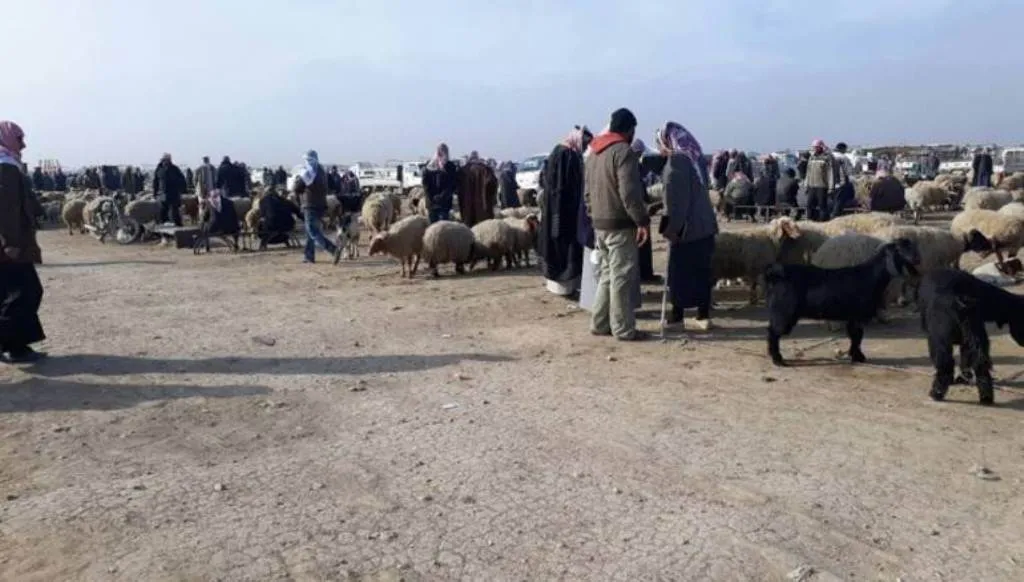 Bazirganiya pez yek ji karên herî kevin ên Tebqayê ye