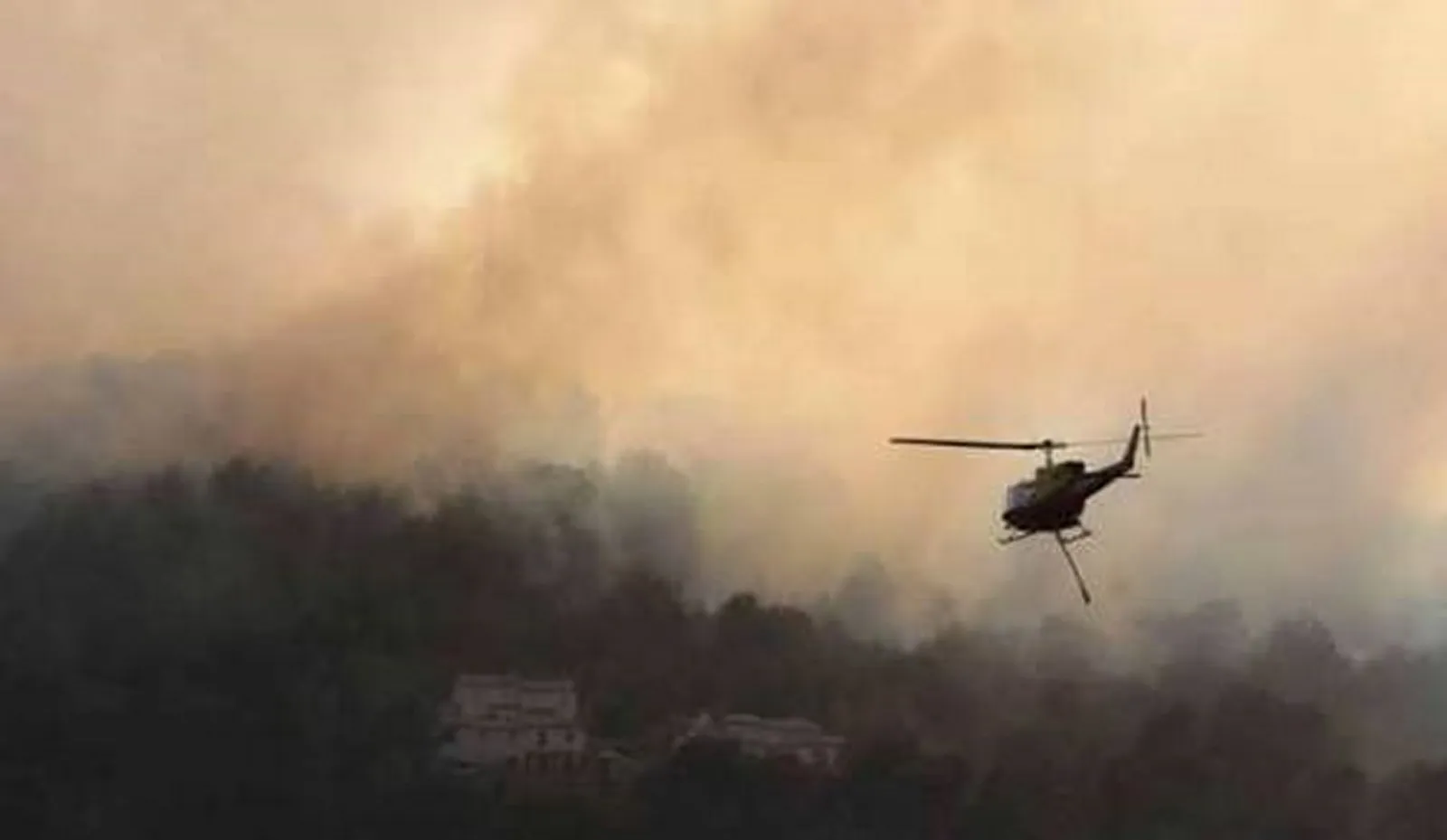 Dagirkeriya  Tirk li Efrînê daran radike û bargehan çêdike