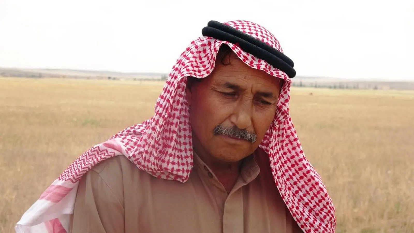 Piştî lehiyê çi bi zeviyên kantona Kobanê hat?